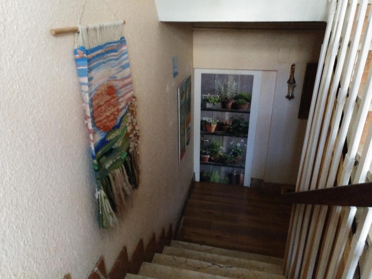 Albergue El Ultimo Bucardo Linas de Broto Екстер'єр фото